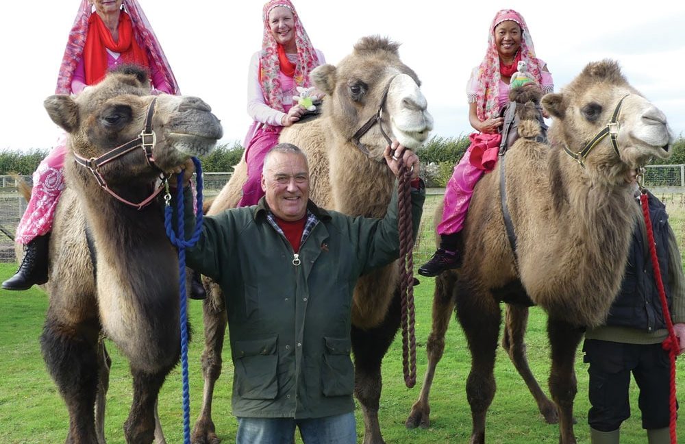 Camel Park Oasis