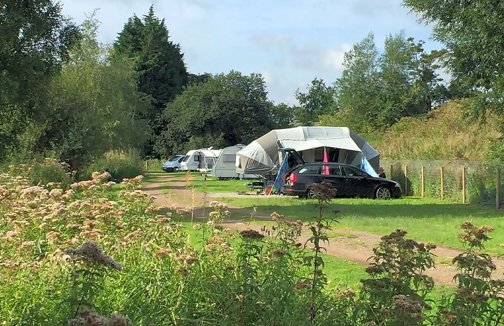 Narborough Fisheries general pitches1