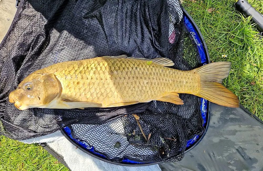 Narborough Fisheries general pitches18